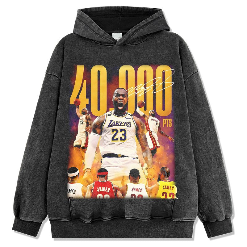LEBRON JAMES VINTAGE HOODIE · POSTER